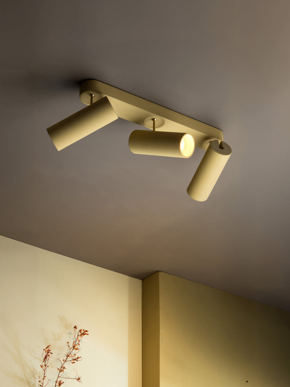 Argia Maxi adjustable multiple spotlight