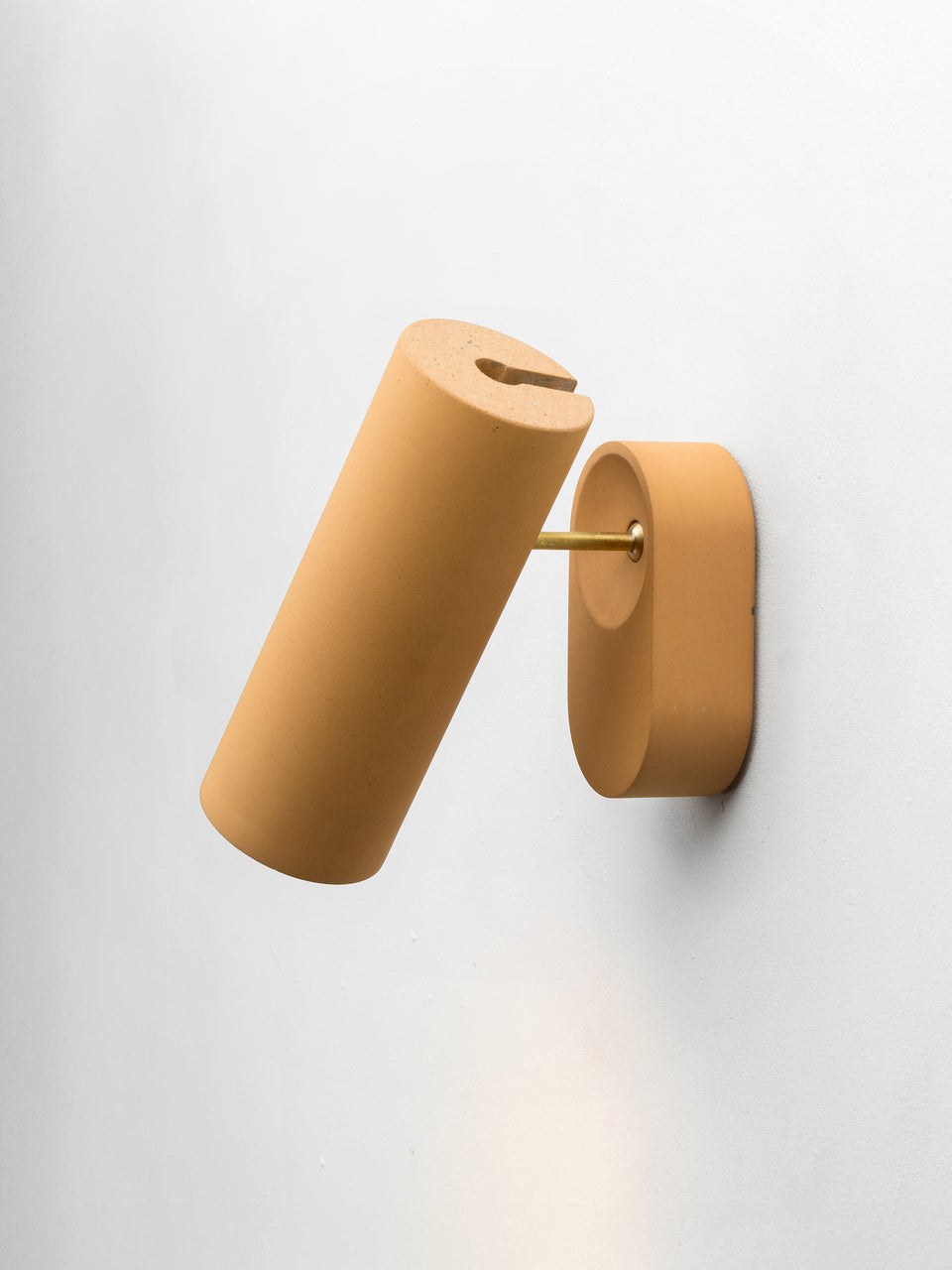 Argia adjustable spotlight