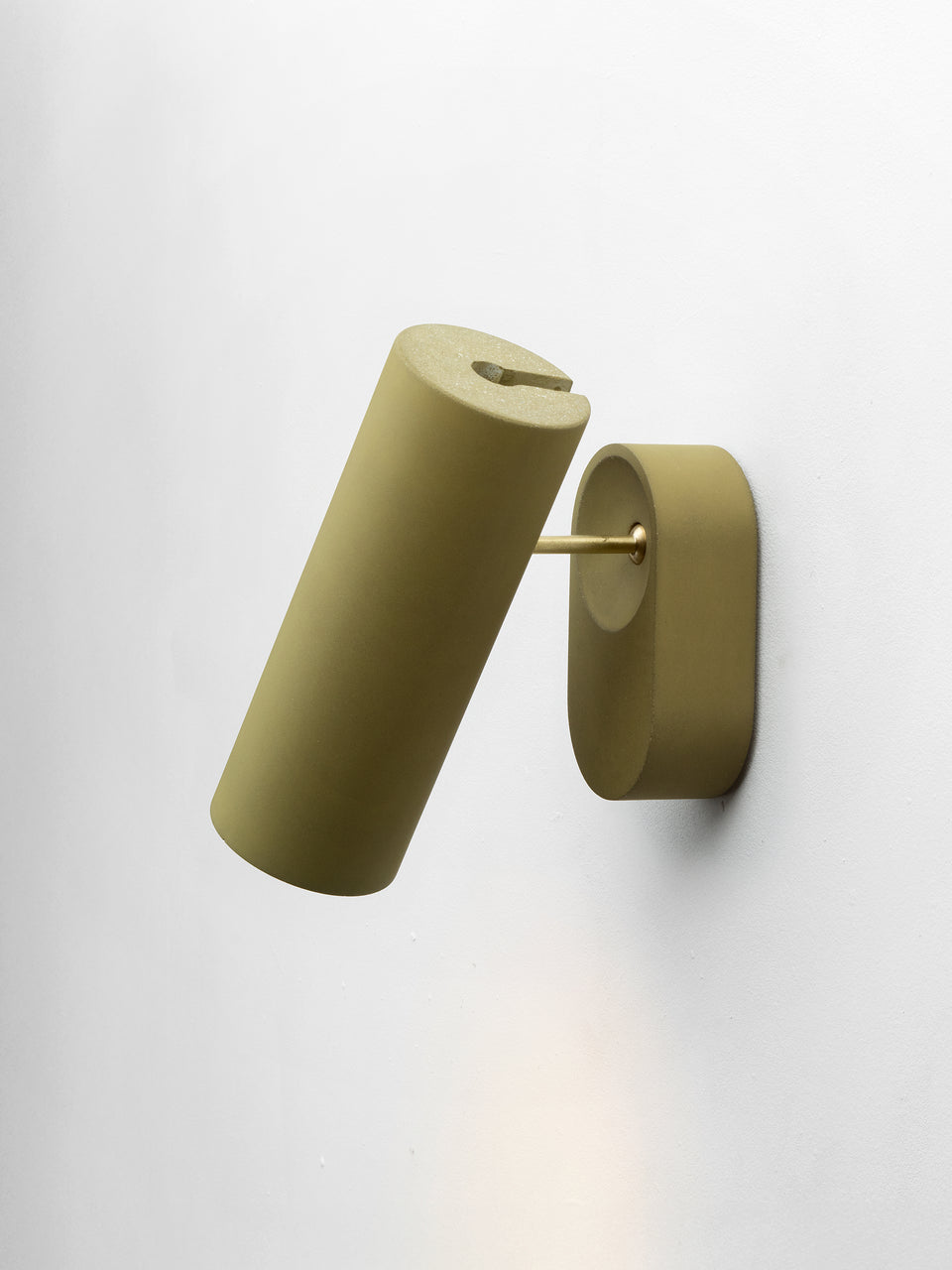 Argia adjustable spotlight