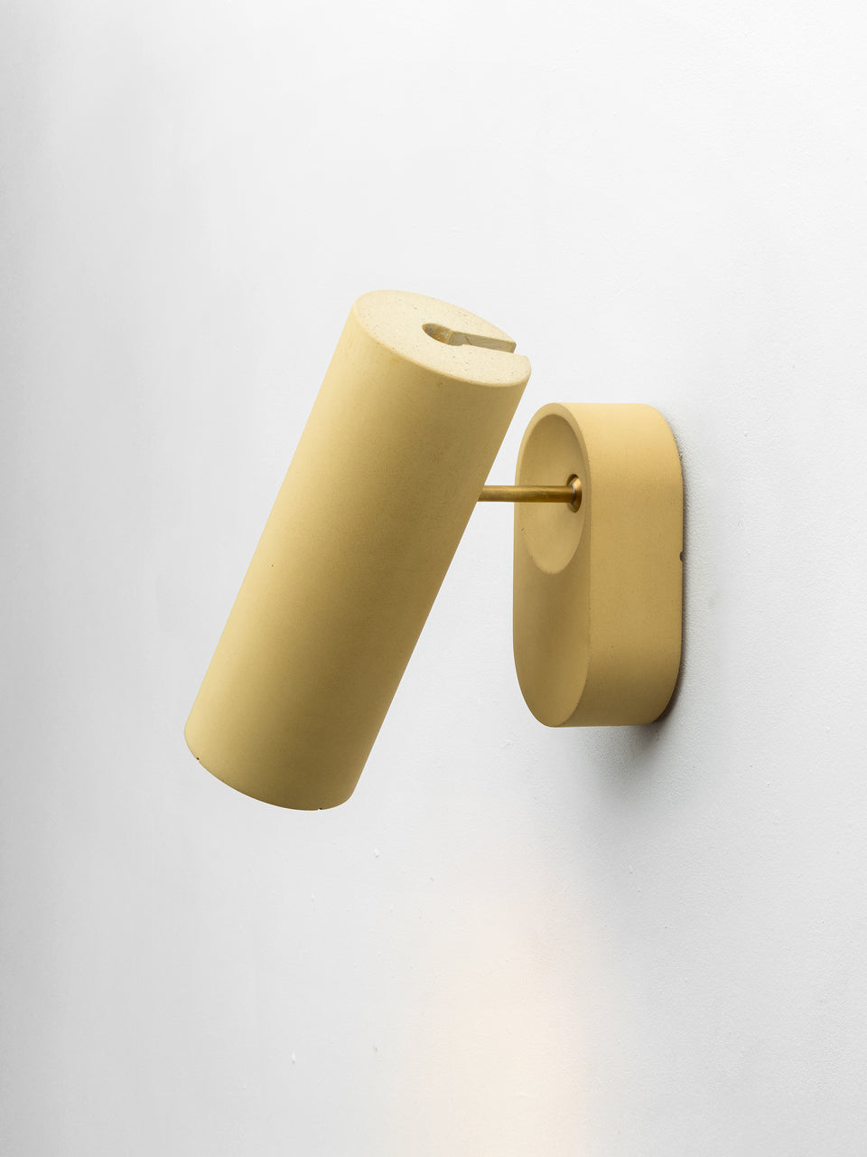 Argia adjustable spotlight