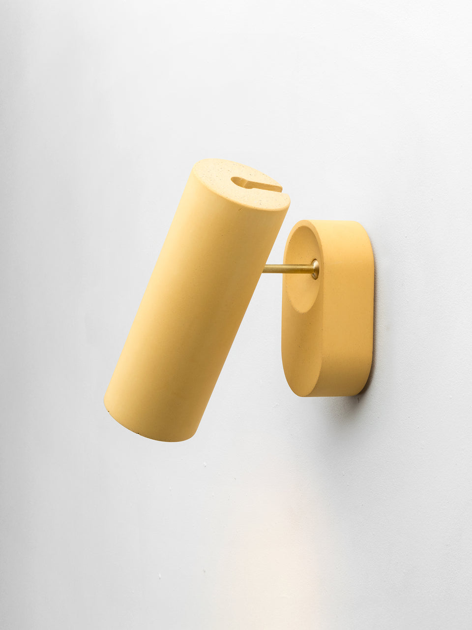 Argia adjustable spotlight