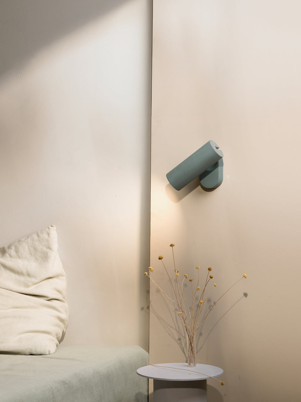 Argia adjustable spotlight