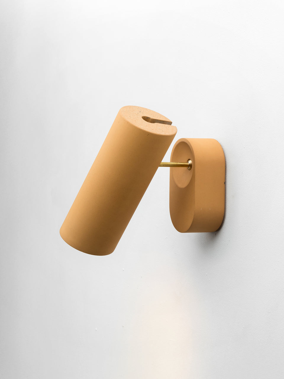 Argia adjustable spotlight