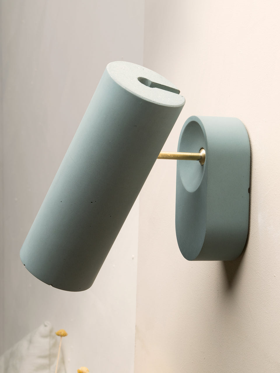 Argia adjustable spotlight