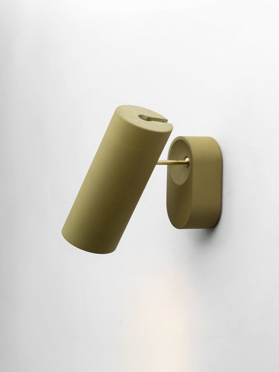 Argia adjustable spotlight