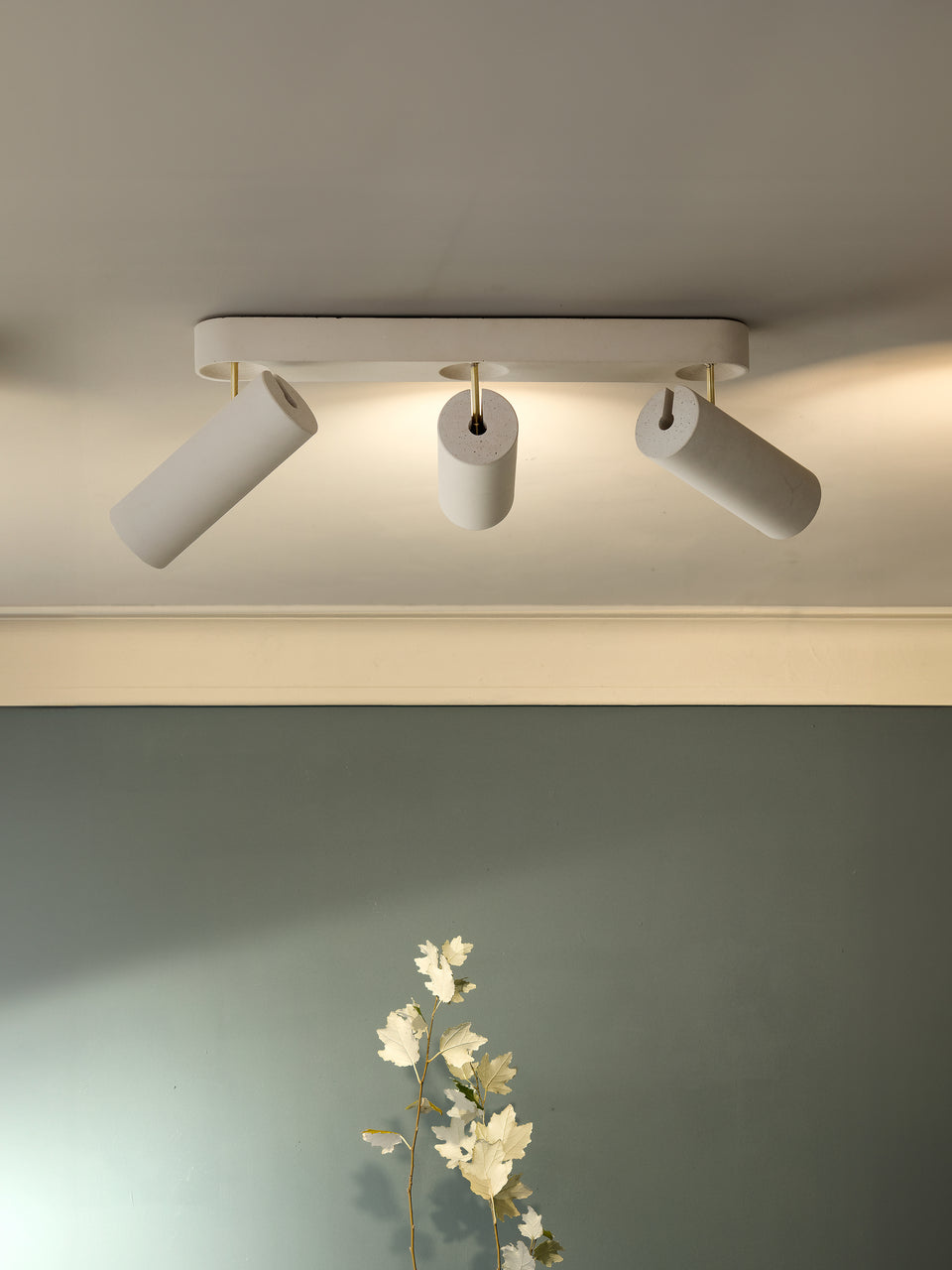 Argia Maxi adjustable multiple spotlight