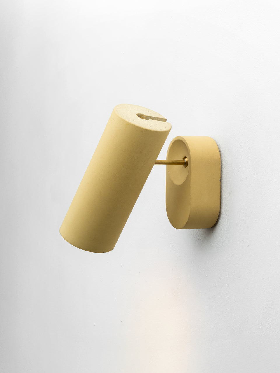 Argia adjustable spotlight