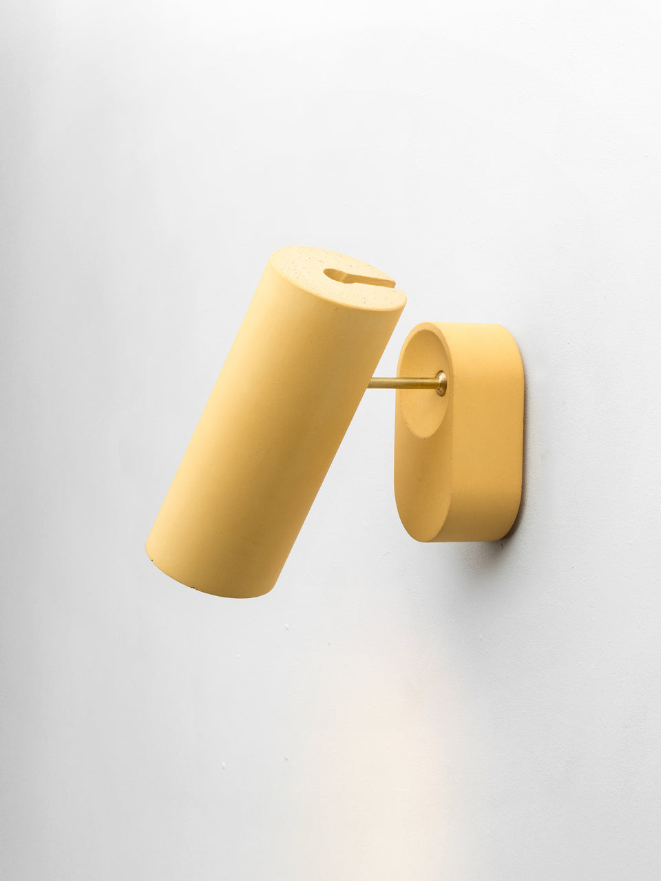 Argia adjustable spotlight