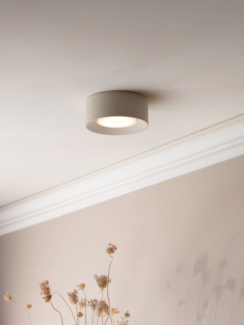 Rino mini ceiling light